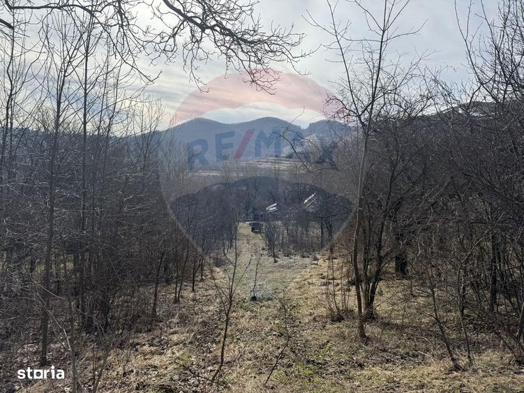 Teren intravilan 1.271 mp Izvoarele, jud. Alba - 1