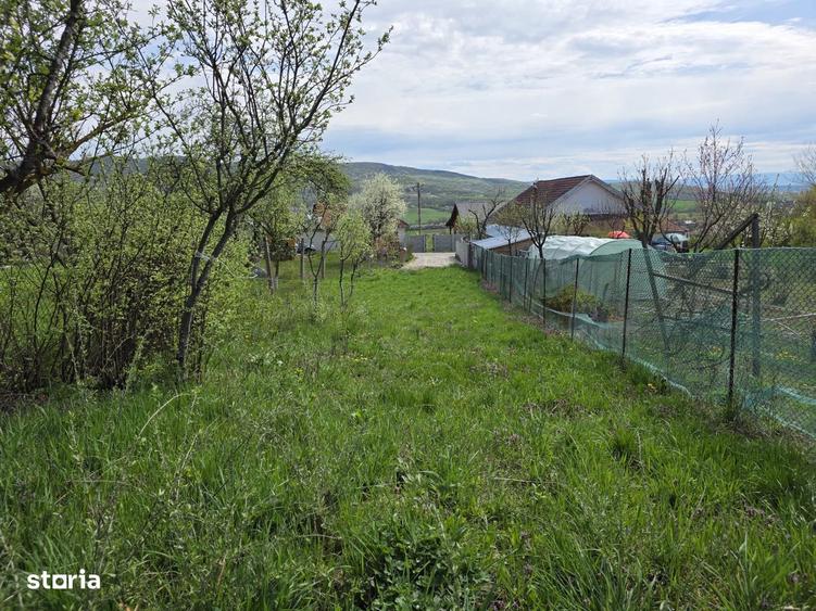 De vanzare teren intravilan Barsau, jud. Hunedoara - 6