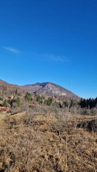 Teren Campul lui Neag Valea Parosenilor - 1