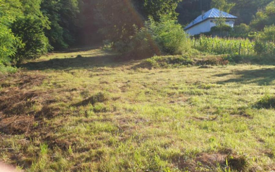 Teren 7000mp Pucioasa - Zona Pitoreasca - 10