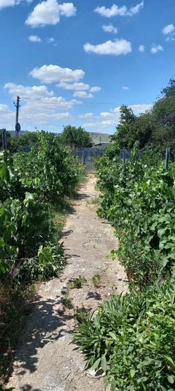 Casa batraneasca 2 corpuri - loc. Mircea Voda, Tulcea - 4
