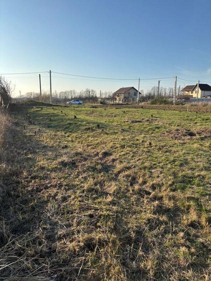 Vand Teren Mosoaia. - 2