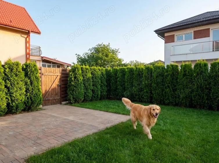 Utimele 5 vile disponibile-Vila 5 camere Ciorogarla, toate utilitatile FINISATA - 1