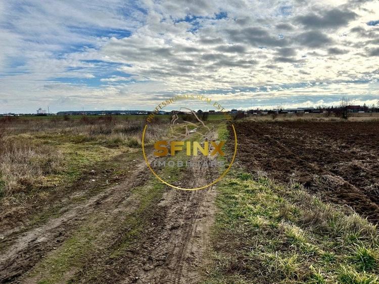 LOT de casa Tartasesti Primarie, teren cu potential - 4