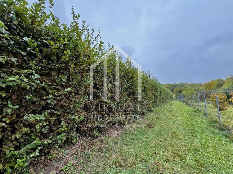 Teren intravila, 2158mp, destinatie casa de vacanta, Rasinari - 9