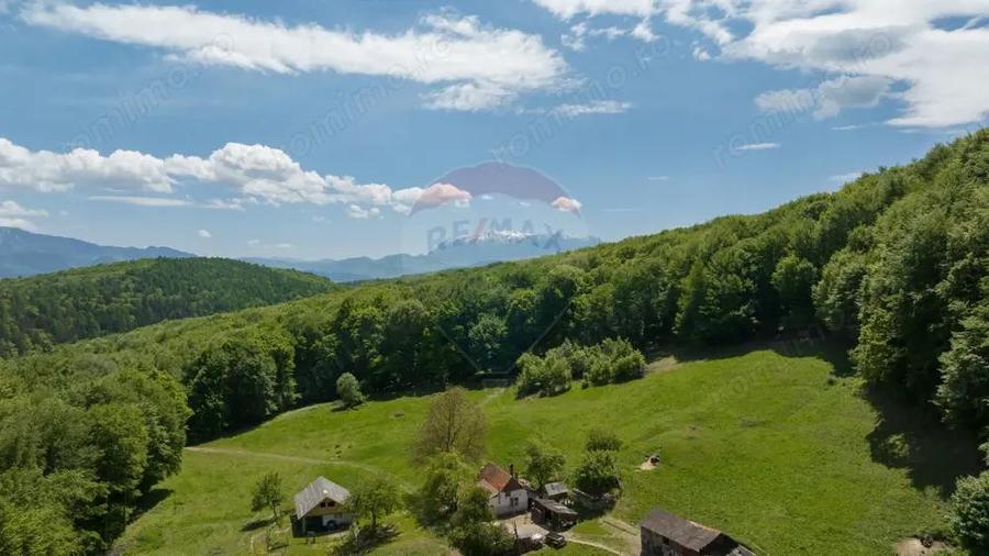 Teren de vanzare Colonia 1 Mai, 5.310 mp, ideal pentru investi?ie - 5