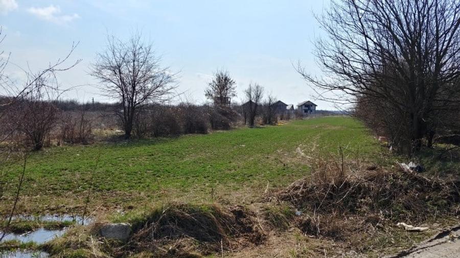 Teren intravilan Măgurele langa padurea Cornetu si Arges - 11