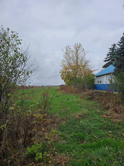 Butimanu (Decindea) Jud. Dambovita, teren intravilan si extravilan - 1