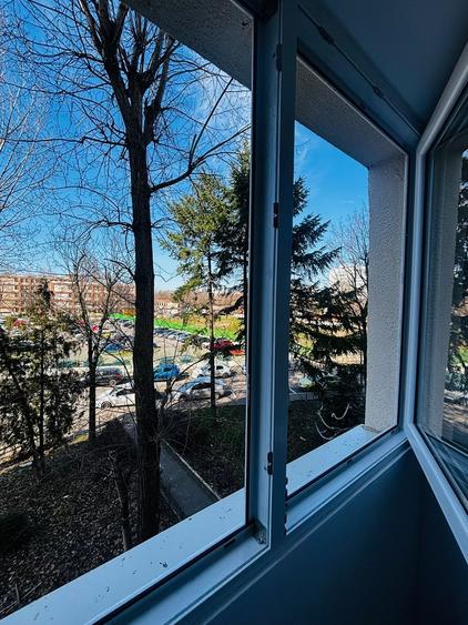 Berceni Emil Racovita - 10