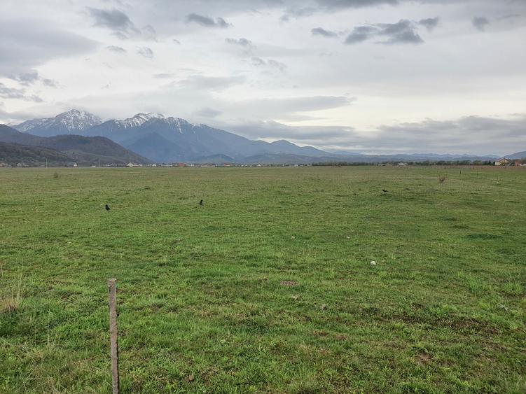 Teren Rasnov – Glajariei zona de case - 1