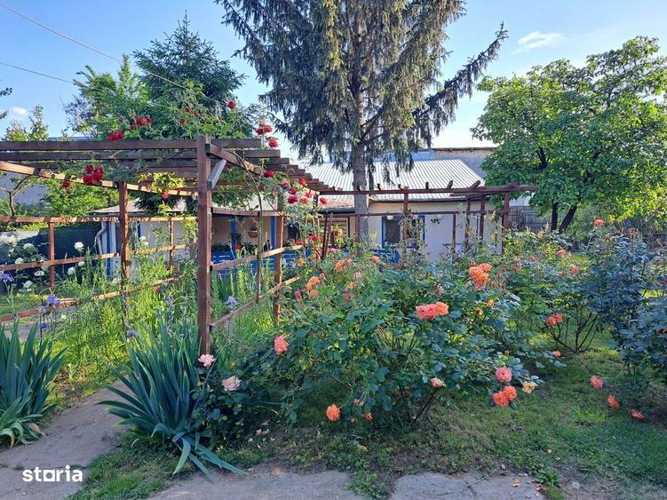 Teren ?i casa Militari Apusului - 13