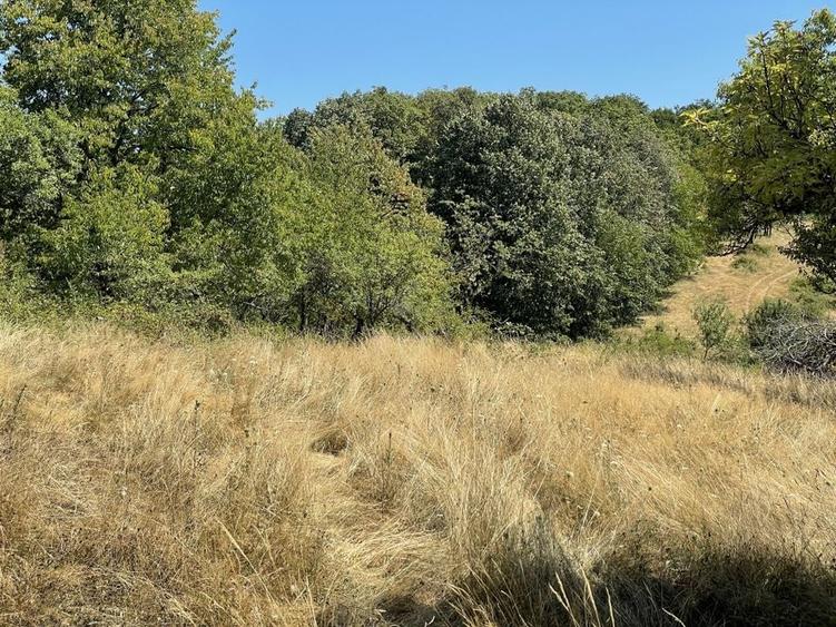 Teren Extravilan &icirc;n mijlocul naturii. - 21