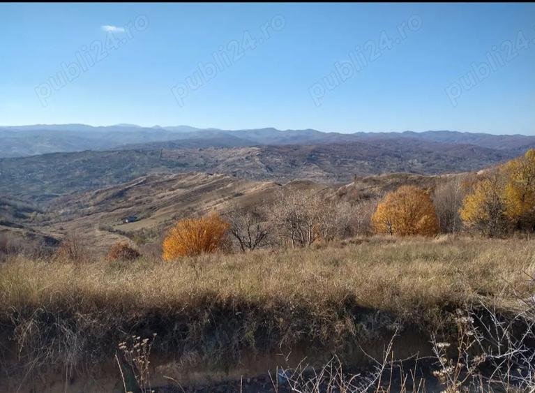 2 Casa padure + 4800 teren langa Focsani - 2