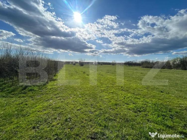 TEREN | RANCACIOV | 2000 MP | 700 INTRAVILAN | - 3