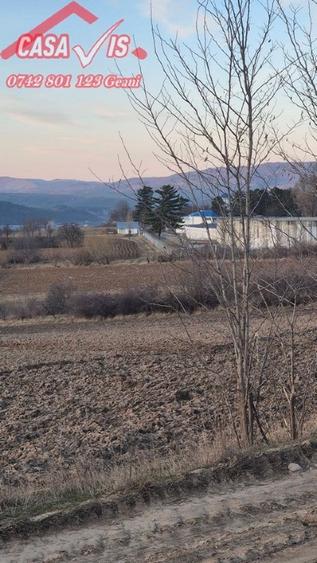 Teren 1 euro/mp pentru iarba verde - 8