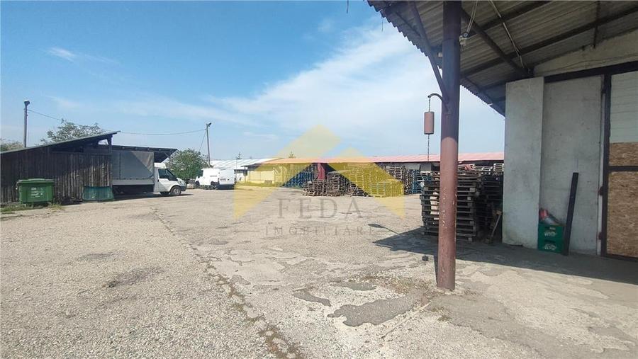 Teren 1,8 ha plus cladiri de vanzare in localitatea Sebis, Arad - 3