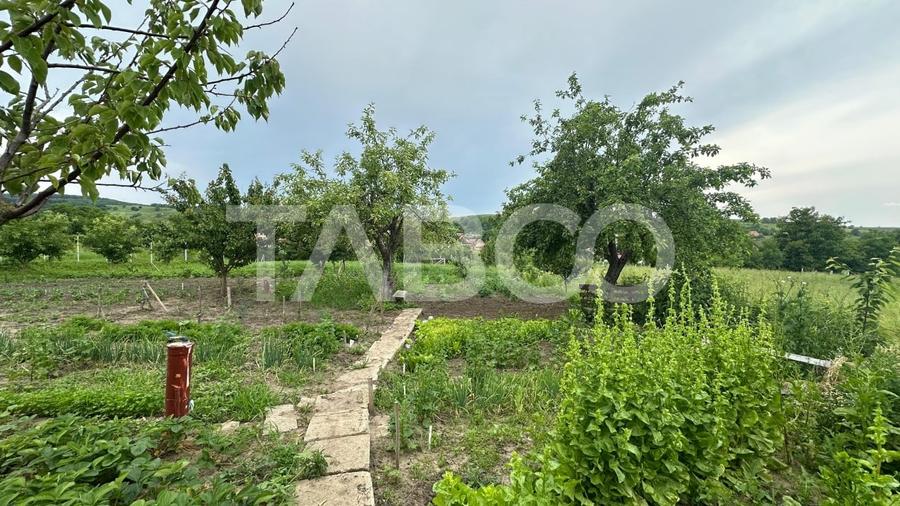 Casa individuala teren 800 mp  Comision 0%  3 camere anexe Rusi Sibiu - 11