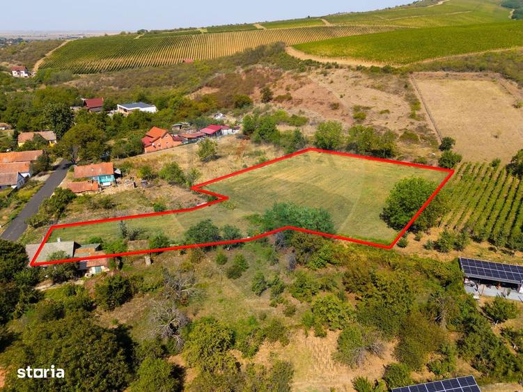 Mini?- destina?ia ideala pentru o resedin?a de lux in inima naturii. - 4