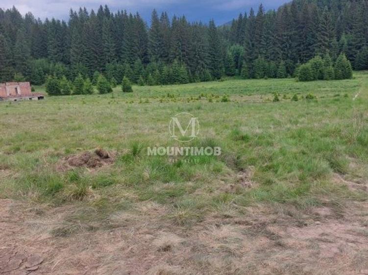 Teren intravilan &icirc;n Poiana Brașov, 0% COMISION - 6