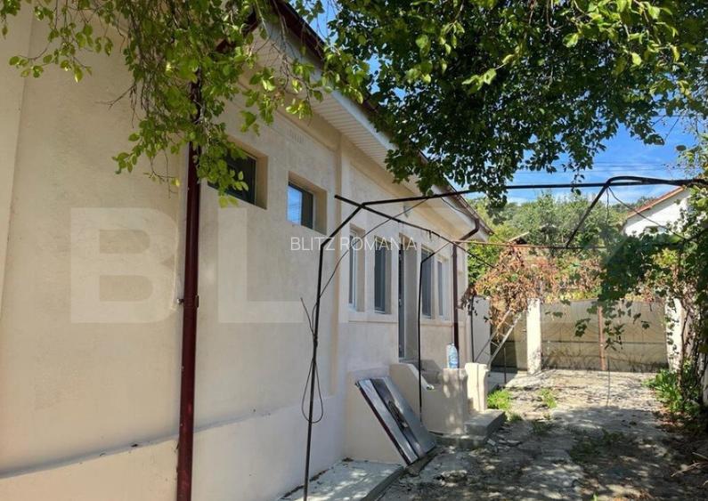 Casa 50mp, pe un teren de 1000mp, in Leamna de Jos