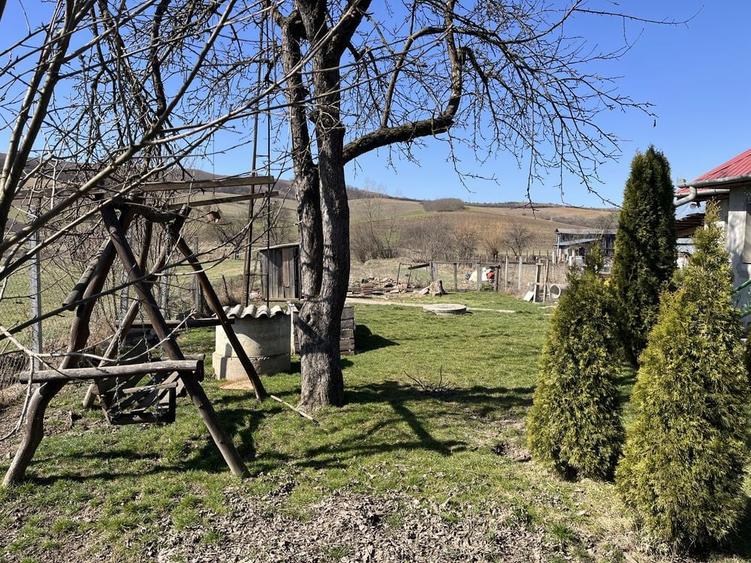 De vanzare: Casa la tara in Sardu Nirajului - 3