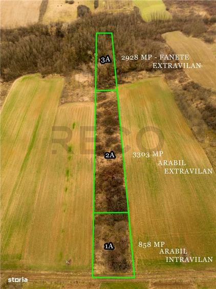 RECO Teren intravilan in Ceica Bihor - 6