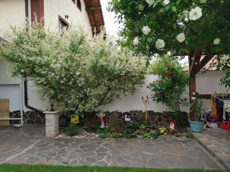 Casa Metro Alt Stil - 4