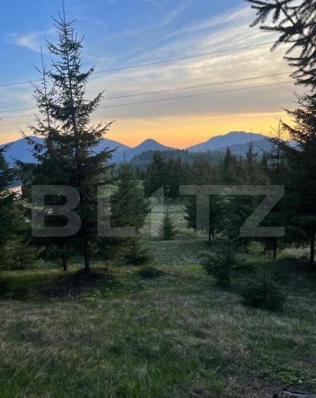 Teren extravilan cu priveliste - Tihuta Cota 1.201 - 2