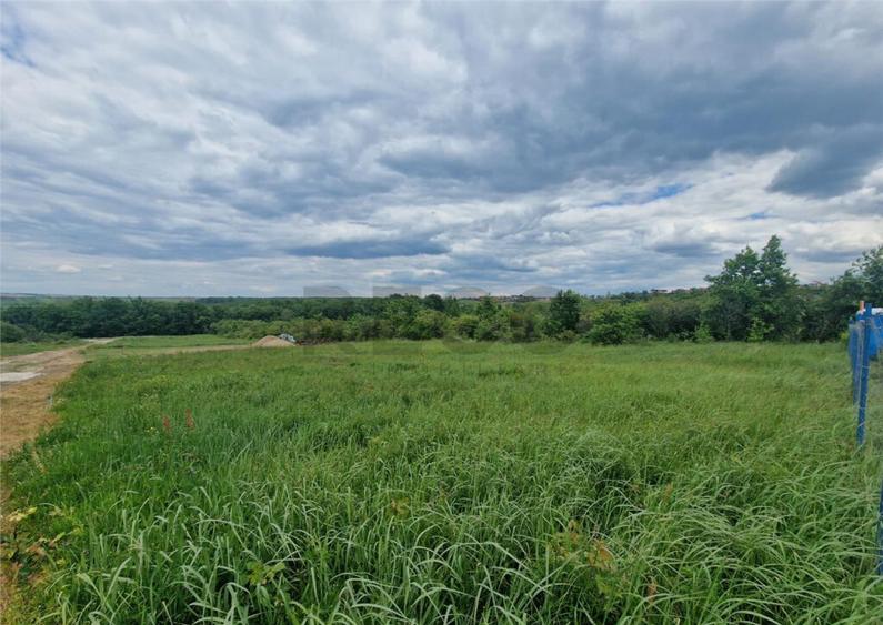 RECO teren intravilan Saldabagiu de Munte - 2