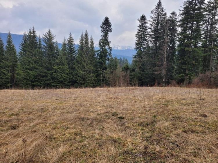 Teren intravilan Busteni, zona manstirea Caraiman - 3