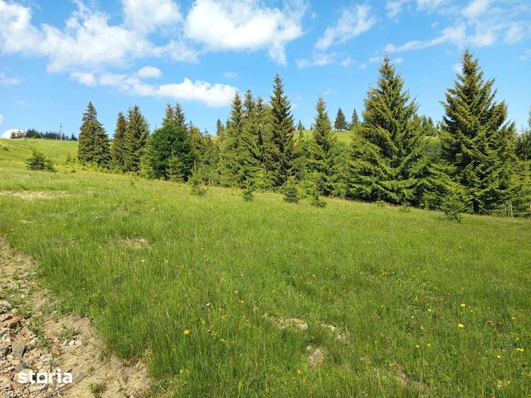 Teren de 700 mp, în Tiha Bârgăului
