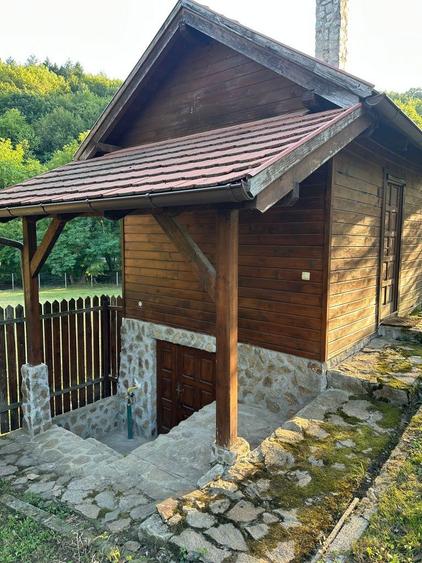 Casa de vanzare situata in Valea Cheii, Pausesti Maglasi , Valcea - 3
