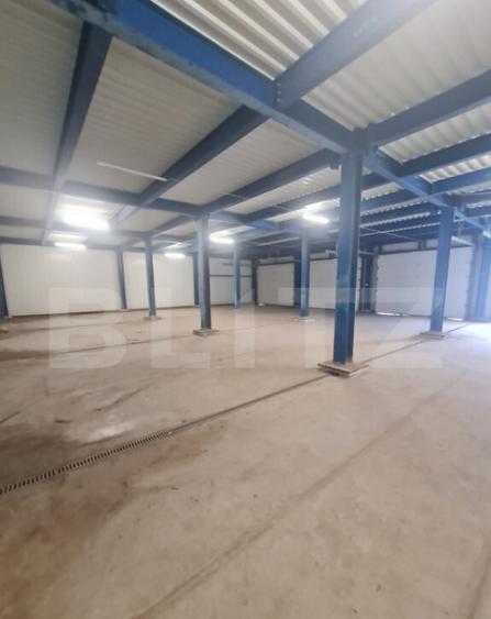 Hala open space, 400 mp, inaltime 4,5 m, Luna de Sus - 1