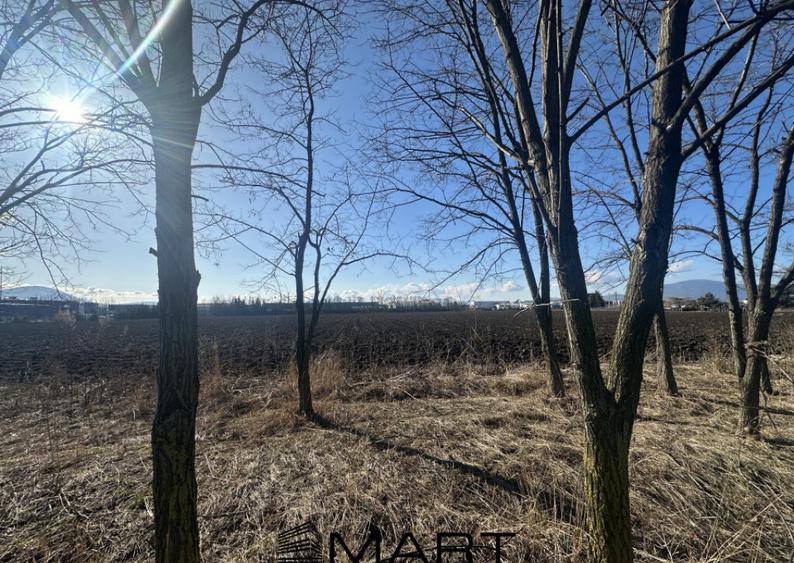 Teren Intravilan 60.000mp - 6