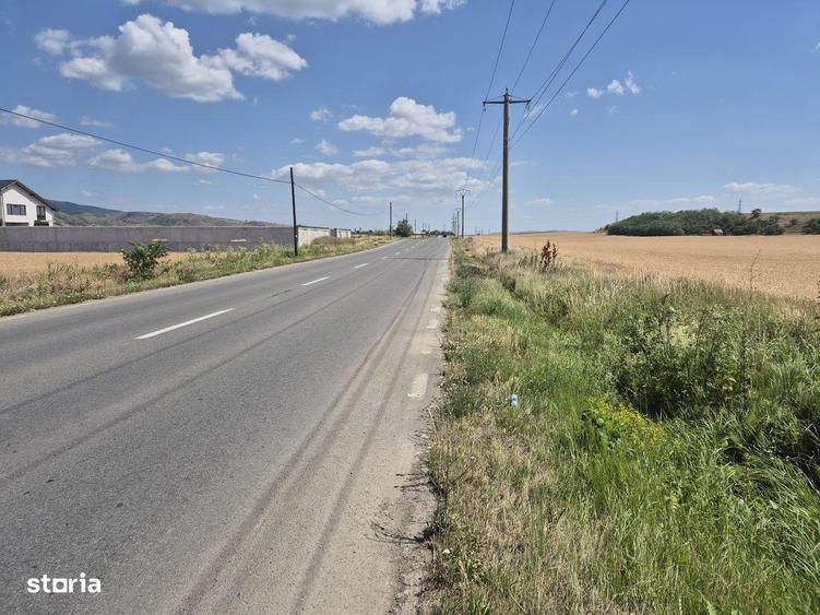 Teren intravilan de vanzare- 7300 mp, in Vintu de jos - 5