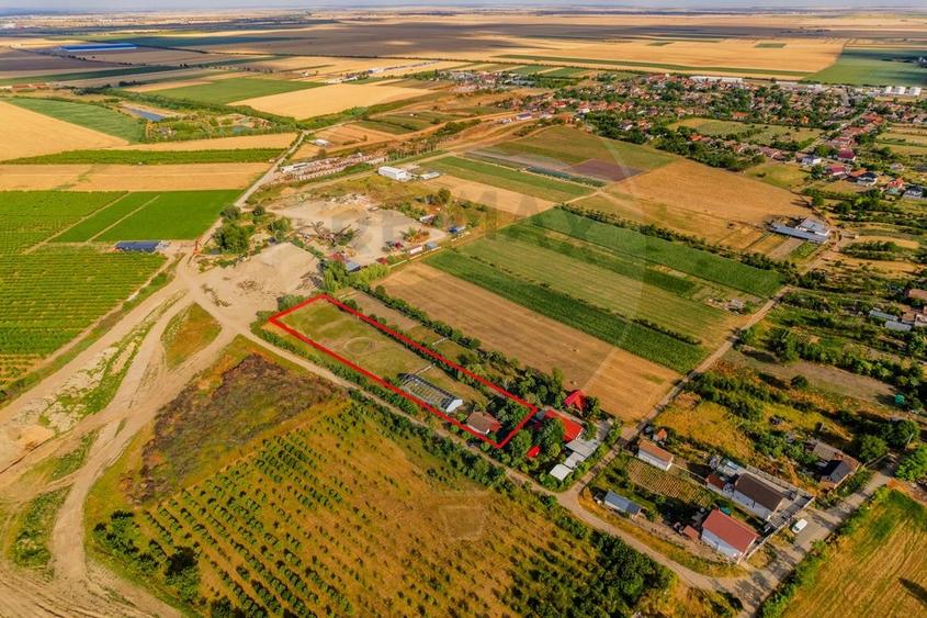 Ferma de cai andaluzi de vanzare - Zadareni - 13