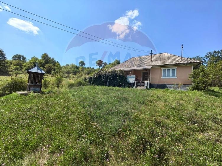 Casă cu teren generos de 62 ari – Berința, Maramureș - 5