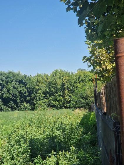 Teren de 5100 mp, în Pătlăgeanca