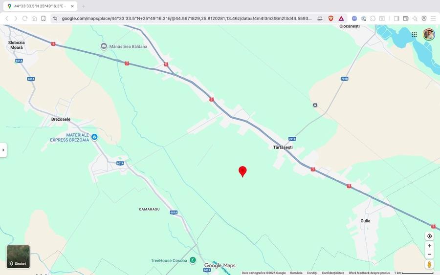 Teren extravilan 10.000 mp Tartasesti Dambovita - 5
