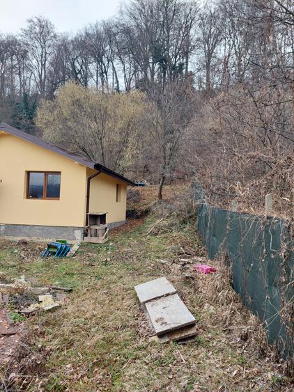 Casa de vacanta/rezidential - 1