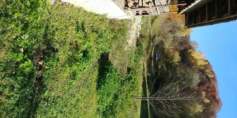 Proprietar - Vand sau Schimb - Casa si teren in Preluca Noua - Maramures - 5