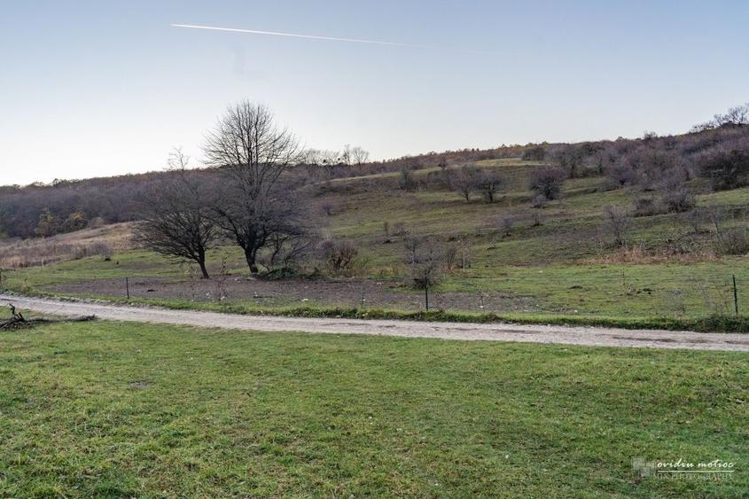 Teren investitii Valea Garbaului, CF+CU - 4