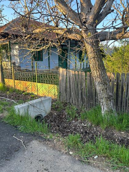 Teren vanzare Dumitresti, Judetul Olt - 6