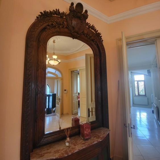 Vila boiereasca, superba, strada, linistita, nelipita de vreun alt imobil - 8