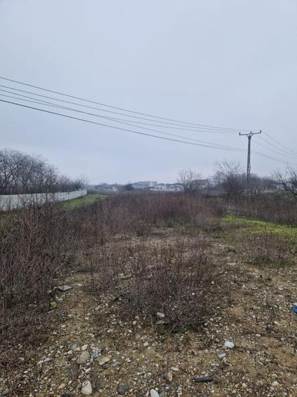 Teren de vanzare Malu Mare – 1.250 mp intravilan - 2