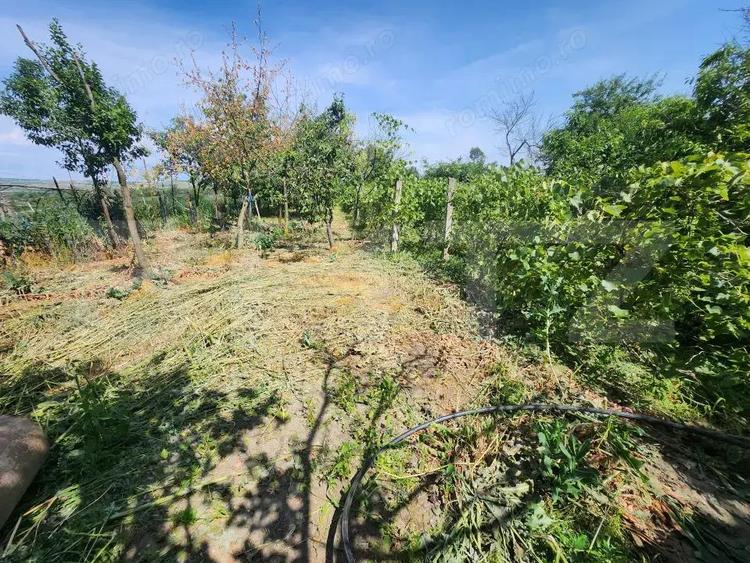 Casa individuala cu 4 camere,150 mp utili,1700 mp teren,Blaj - 13