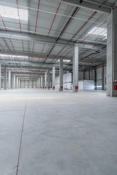 Spațiu industrial, 249500 mp în Chitila - 6