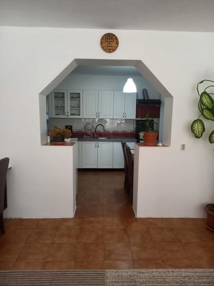 Vand casa Ioanis jud. Bihor, com Finis - 15