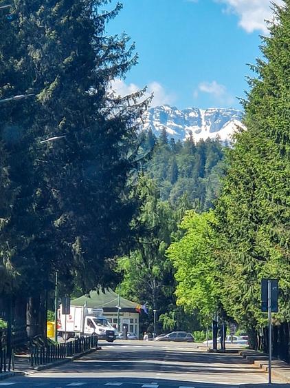 Pozitie de exceptie in Poiana Brasov, vila, orientare sud, intimitate, parcare - 27