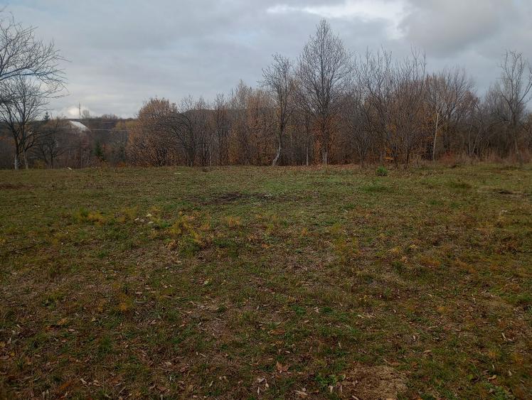 Vând teren intravilan 4062 mp - 12